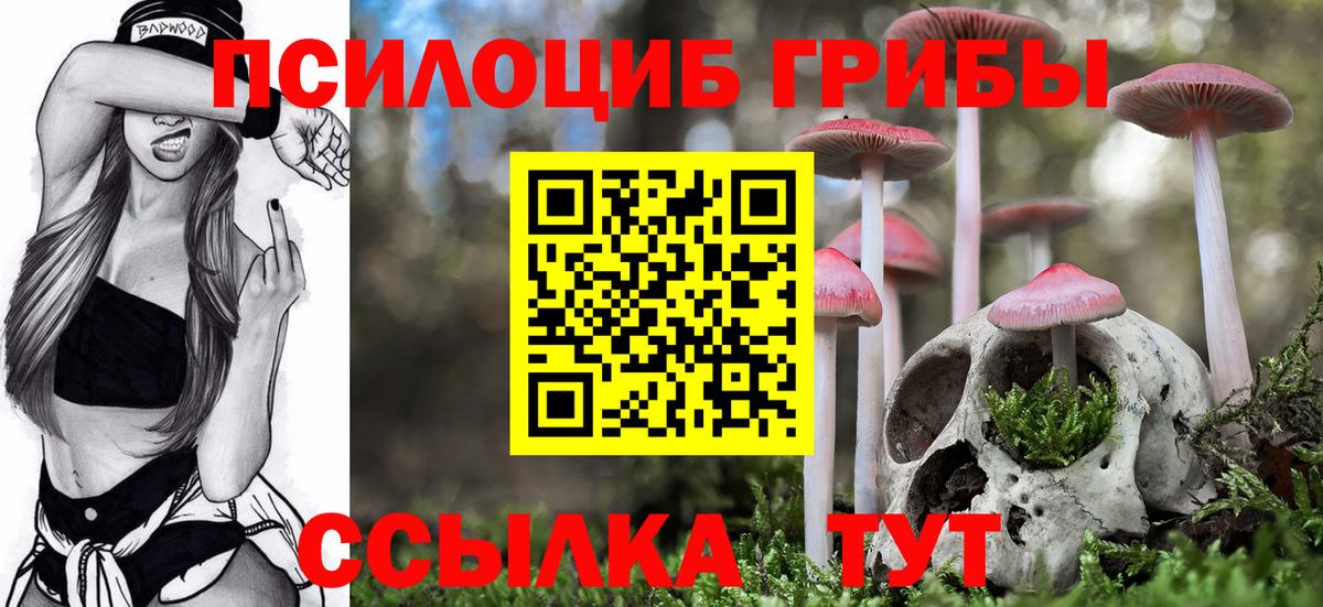 Пыть-Ях  Псилоцибиновые грибы MAGIC MUSHROOMS  хочу   Вход с VPN 